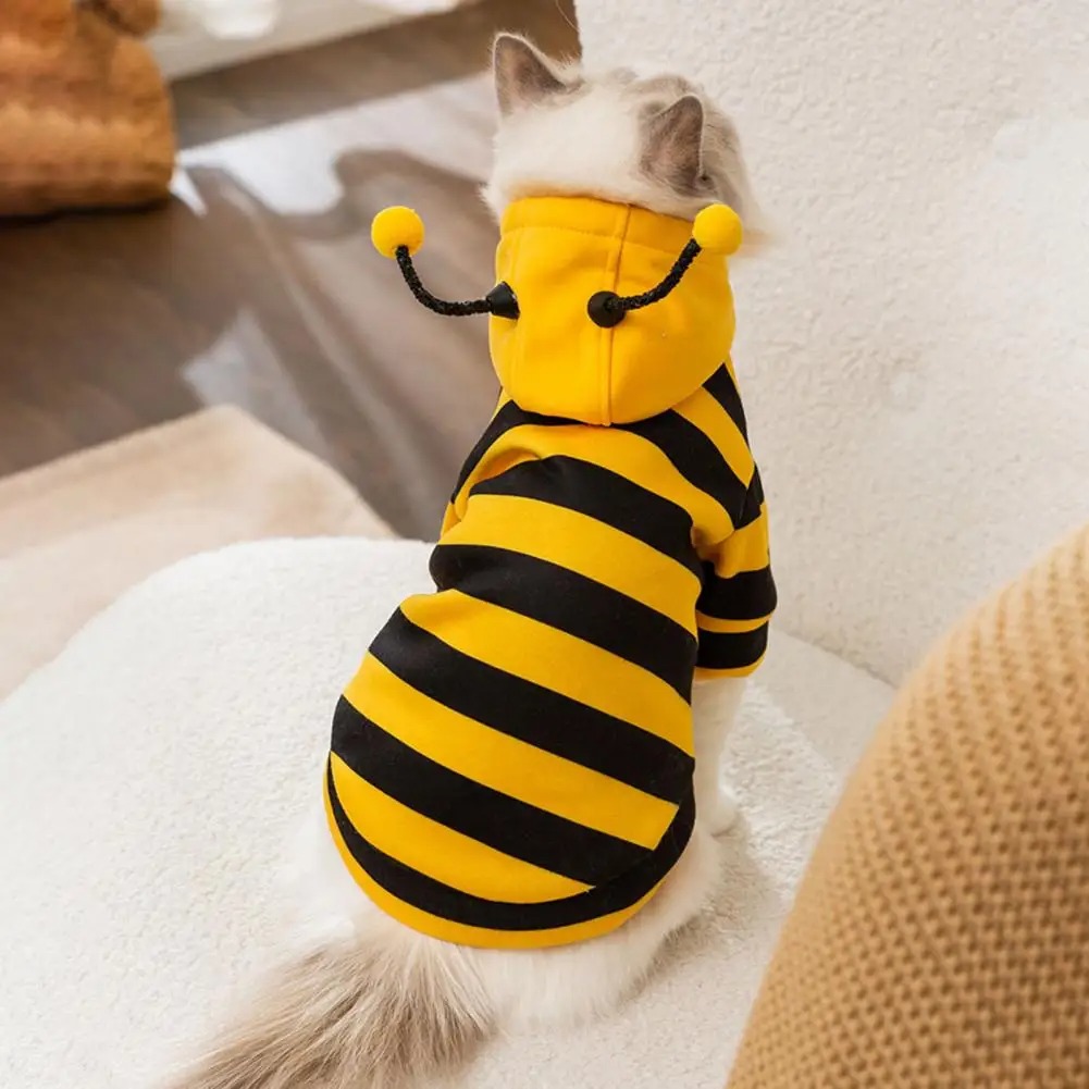 Pet Cats Clothes Kitten Stuff  - Winter Clothing For Dogs incelemesi ve fiyatı