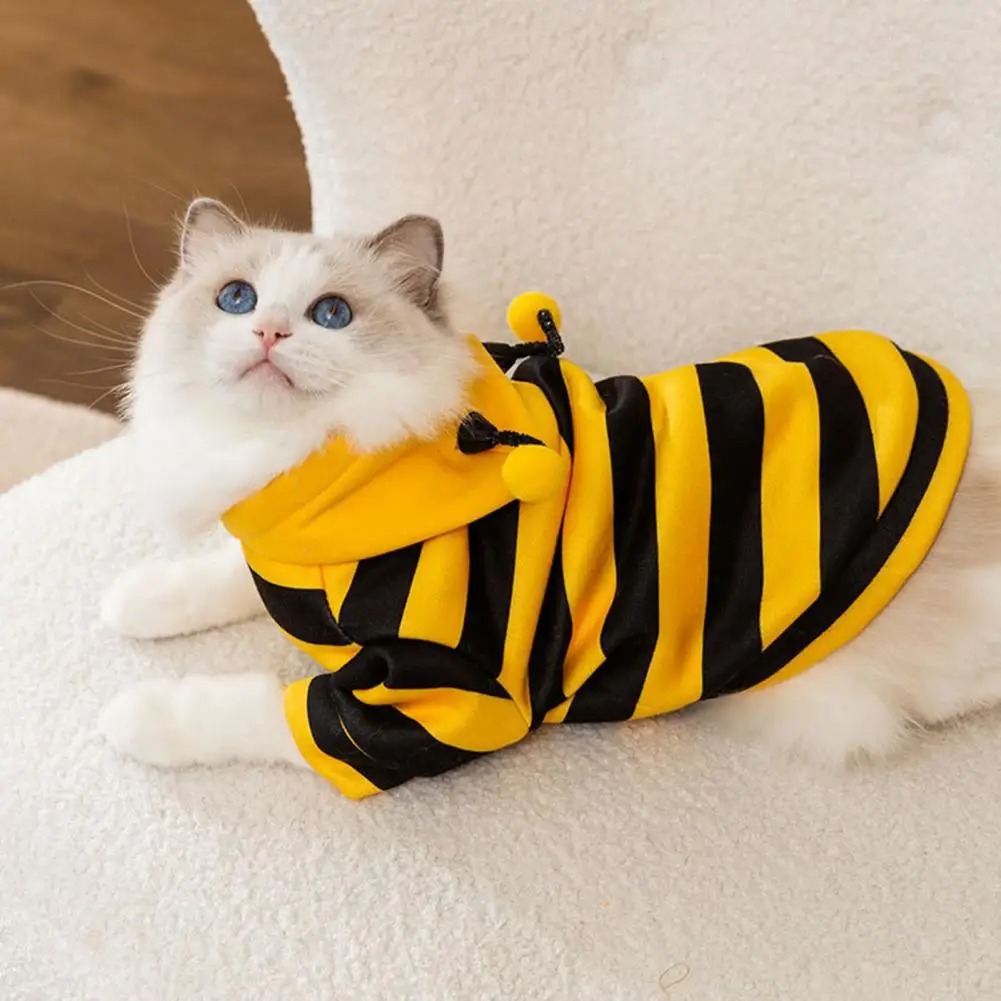 Pet Cats Clothes Kitten Stuff  - Winter Clothing For Dogs incelemesi ve fiyatı