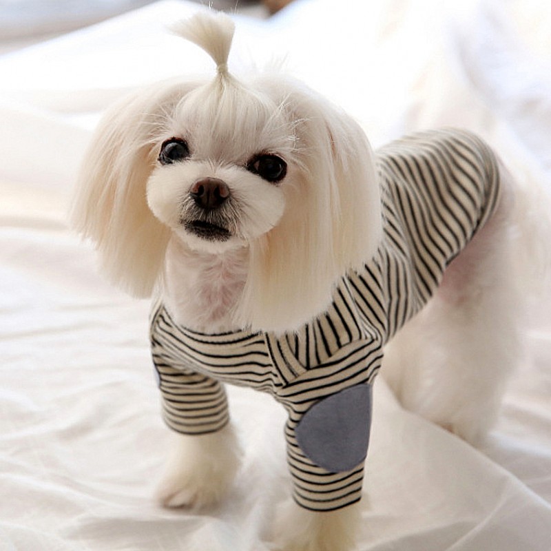 Thin Pet Dog Hoodies Fleece Do - Winter Clothing For Dogs incelemesi ve fiyatı