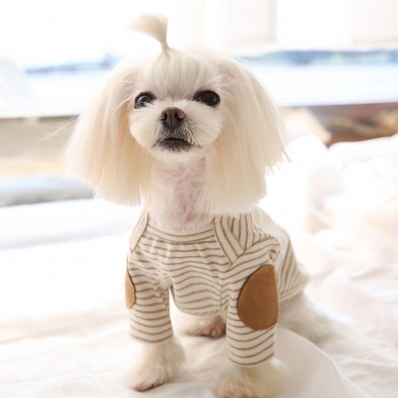 Thin Pet Dog Hoodies Fleece Do - Winter Clothing For Dogs incelemesi ve fiyatı