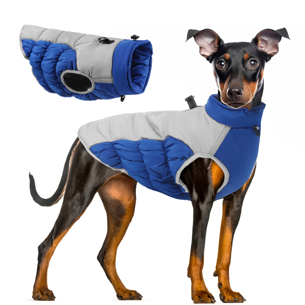 Winter Clothes for Dogs Windpr - Winter Clothing For Dogs incelemesi ve fiyatı
