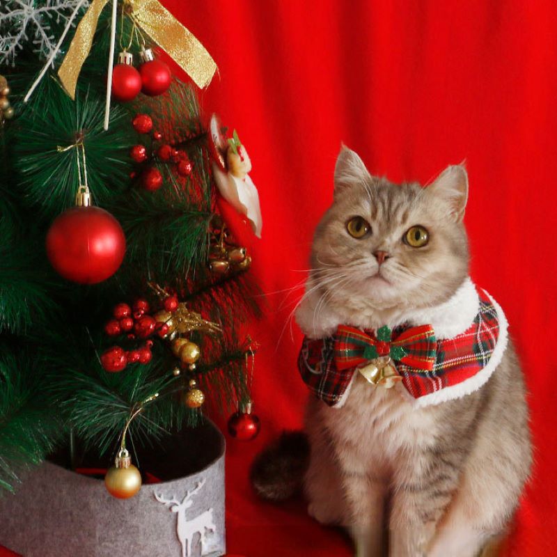 Cat Christmas Cloak Pet New Ye - Winter Clothing For Dogs incelemesi ve fiyatı