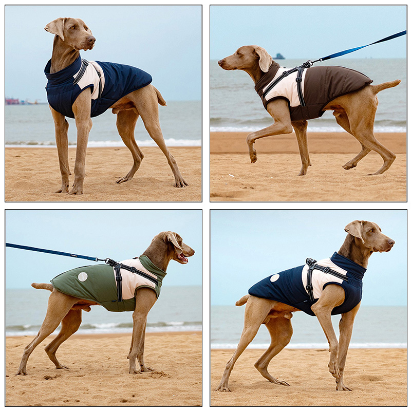 Warm Dog Vest With Built-in Ha - Winter Clothing For Dogs incelemesi ve fiyatı