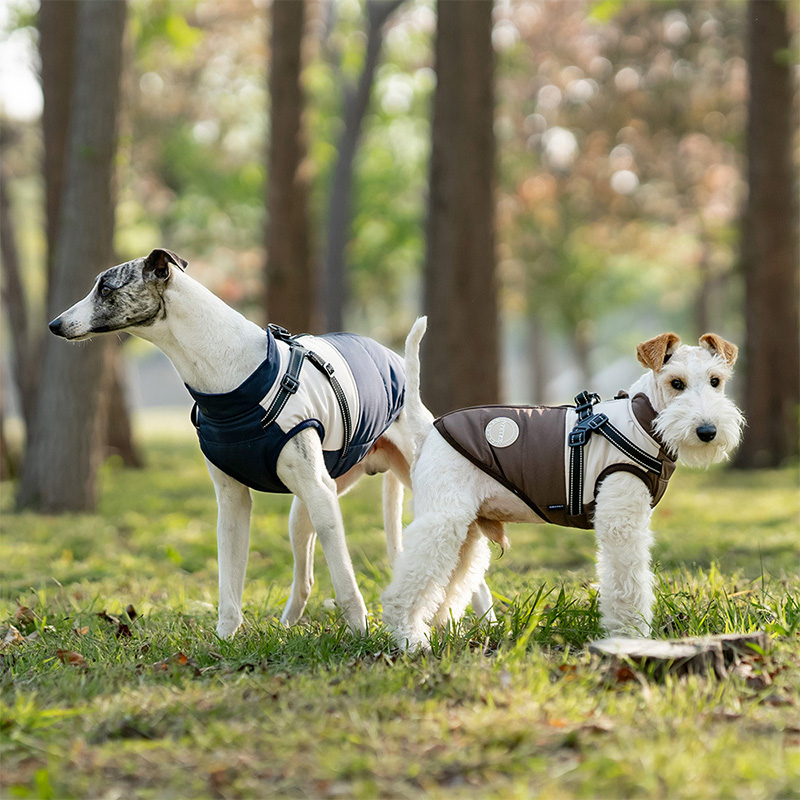 Warm Dog Vest With Built-in Ha - Winter Clothing For Dogs incelemesi ve fiyatı