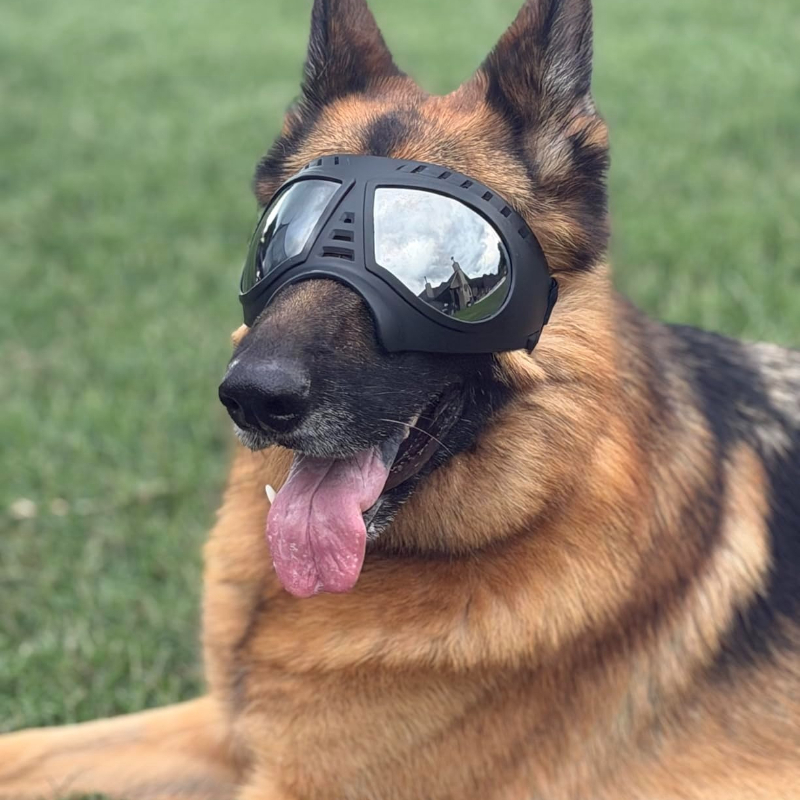 Pet Glasses for Medium Large-s - Snow Goggle Uv incelemesi ve fiyatı