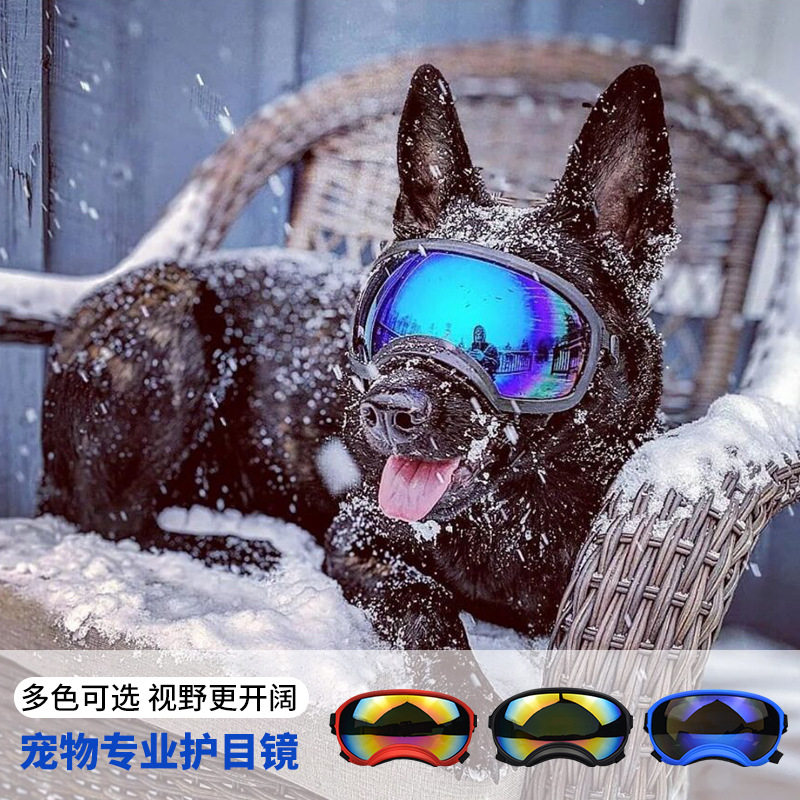 Dog Goggles Outdoor Skiing Win - Snow Goggle Uv incelemesi ve fiyatı