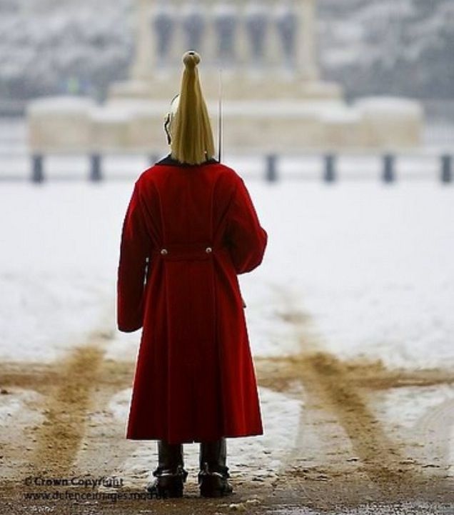 British War Horse Guard Jacket - Winter Clothing For Men incelemesi ve fiyatı