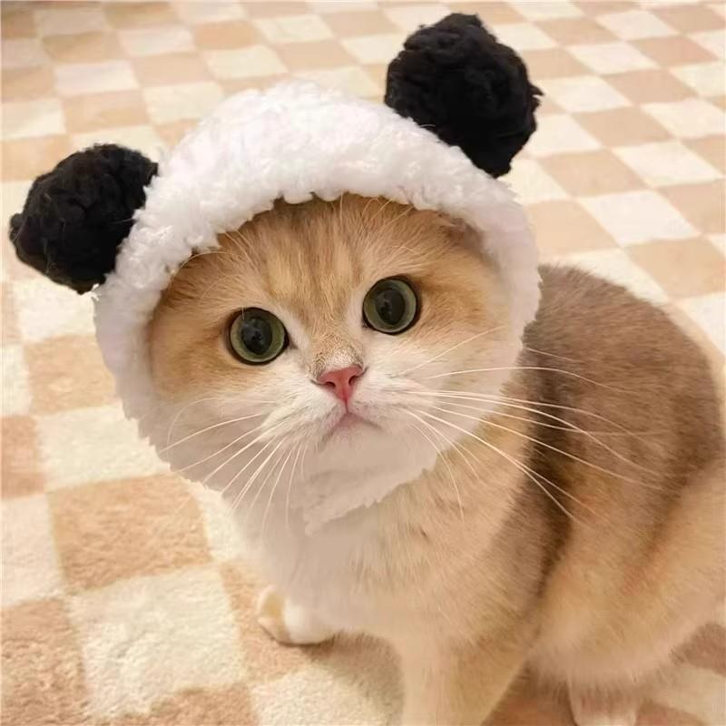 Adorable Pet Costume Bear Hat  - Winter Clothing For Dogs incelemesi ve fiyatı