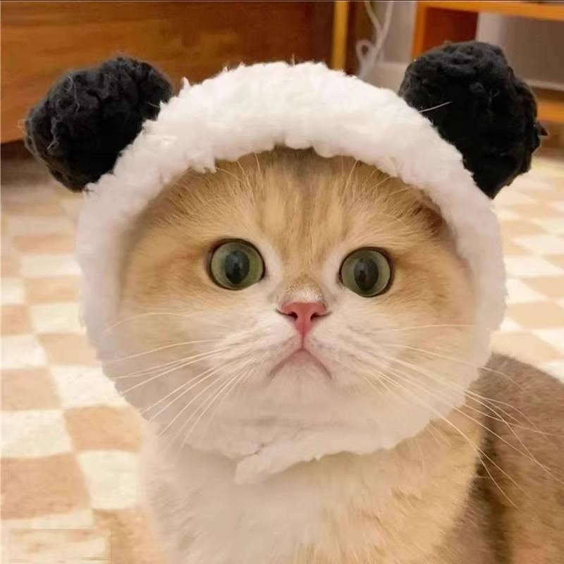 Adorable Pet Costume Bear Hat  - Winter Clothing For Dogs incelemesi ve fiyatı