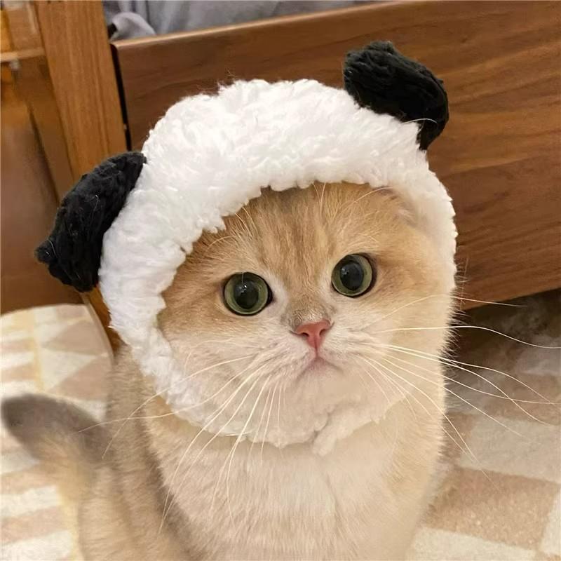Adorable Pet Costume Bear Hat  - Winter Clothing For Dogs incelemesi ve fiyatı