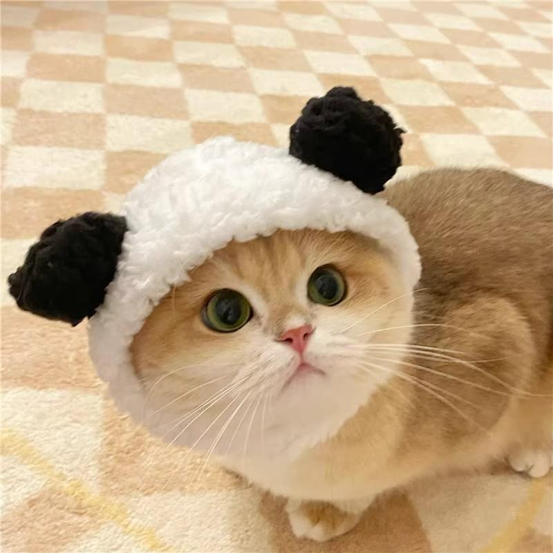 Adorable Pet Costume Bear Hat  - Winter Clothing For Dogs incelemesi ve fiyatı