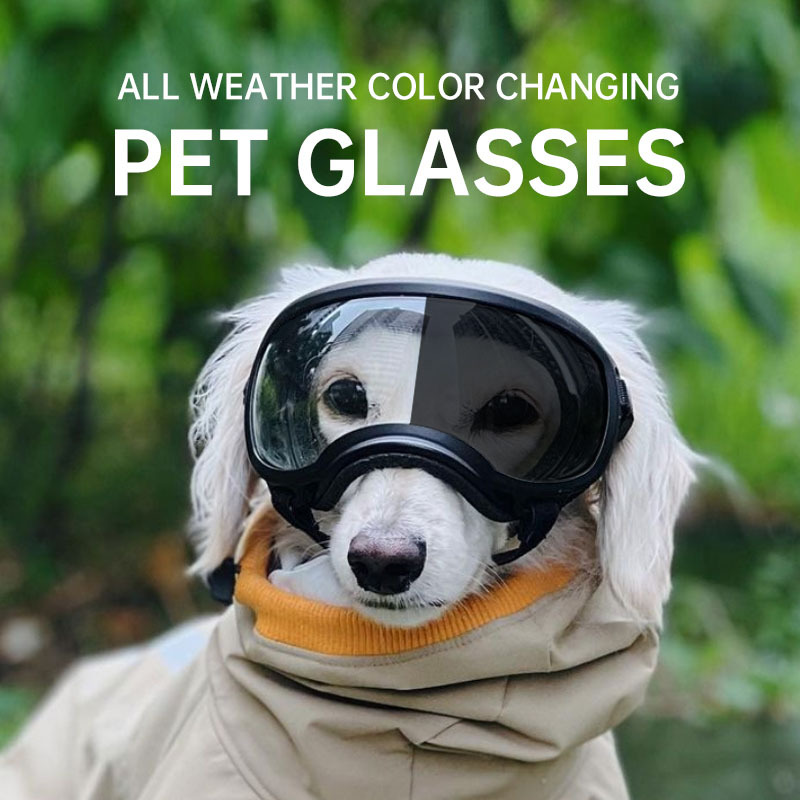 Color changing pet glasses dog - Snow Goggle Uv incelemesi ve fiyatı