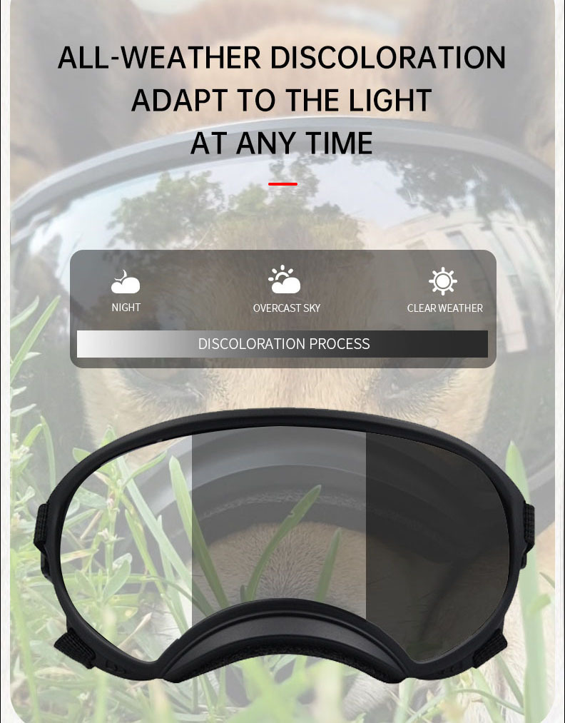 Color changing pet glasses dog - Snow Goggle Uv incelemesi ve fiyatı