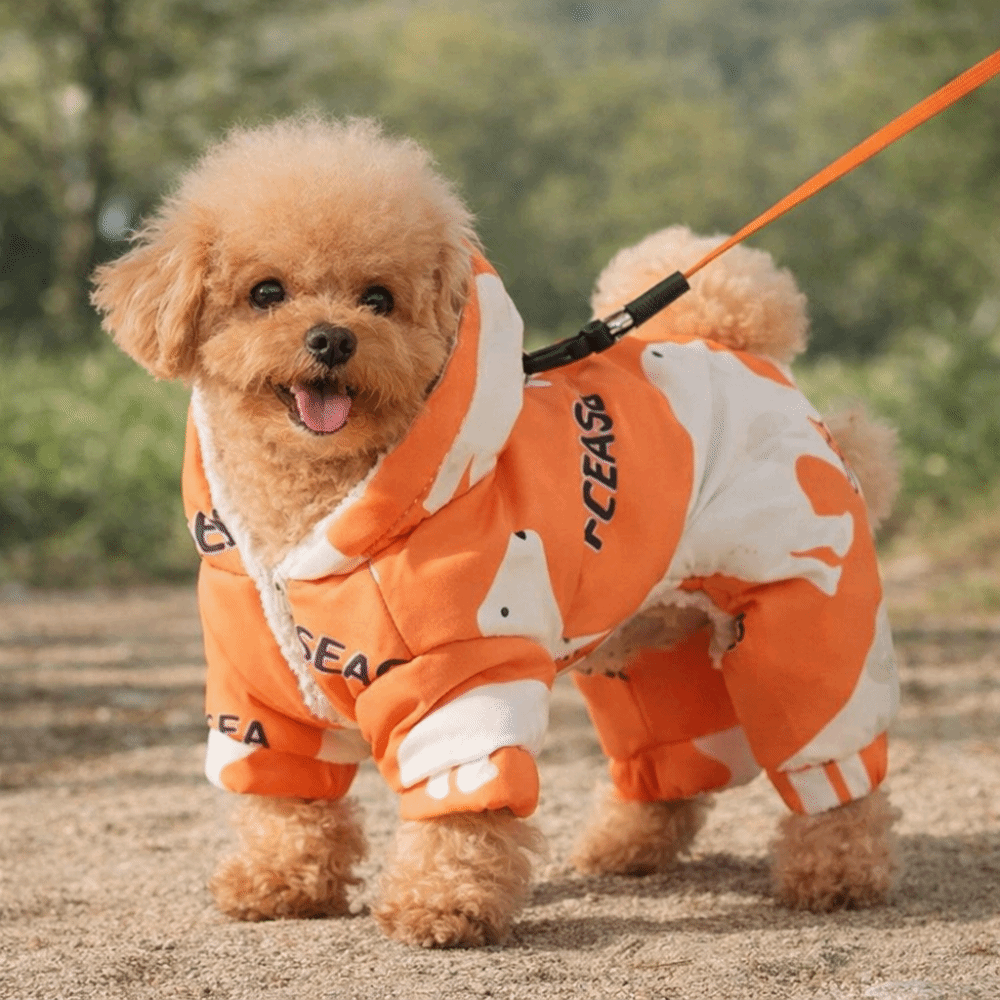 Cute Warm Dog Winter Clothes A - Winter Clothing For Dogs incelemesi ve fiyatı