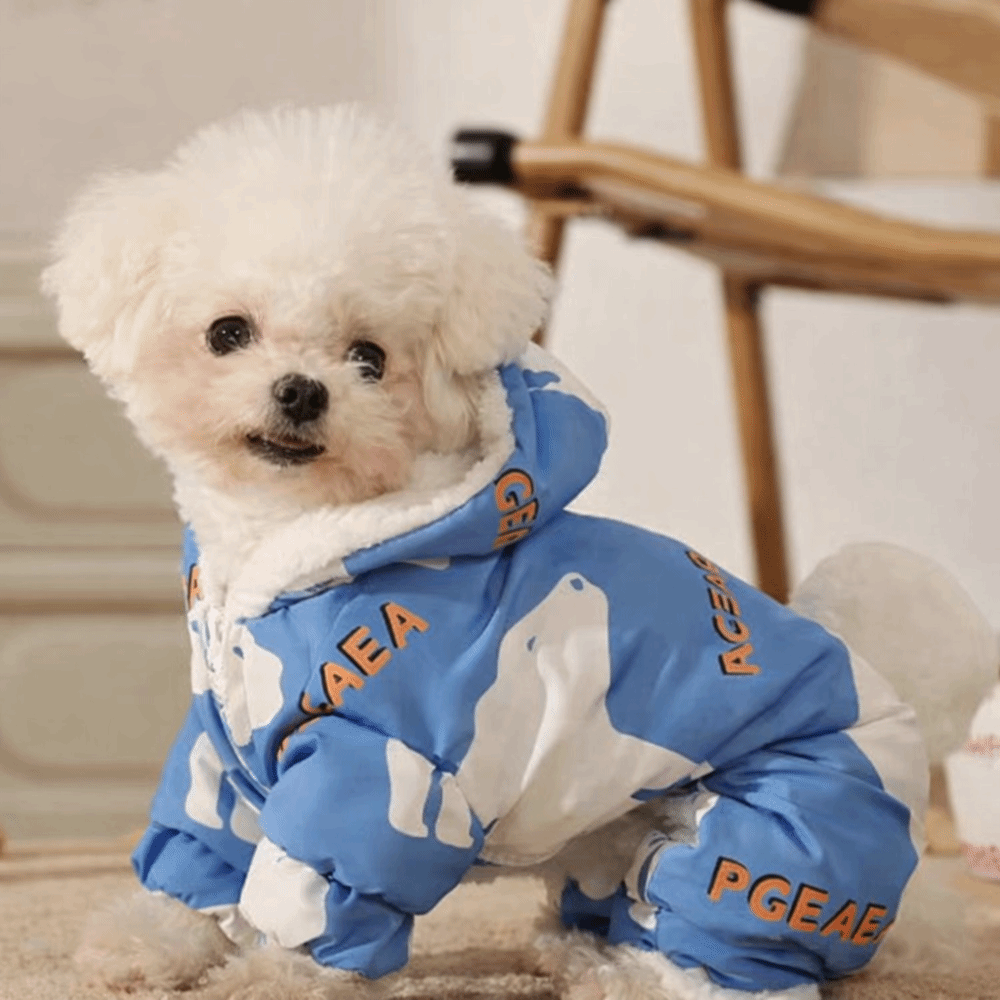 Cute Warm Dog Winter Clothes A - Winter Clothing For Dogs incelemesi ve fiyatı