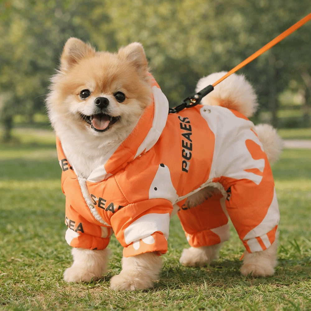 Cute Warm Dog Winter Clothes A - Winter Clothing For Dogs incelemesi ve fiyatı