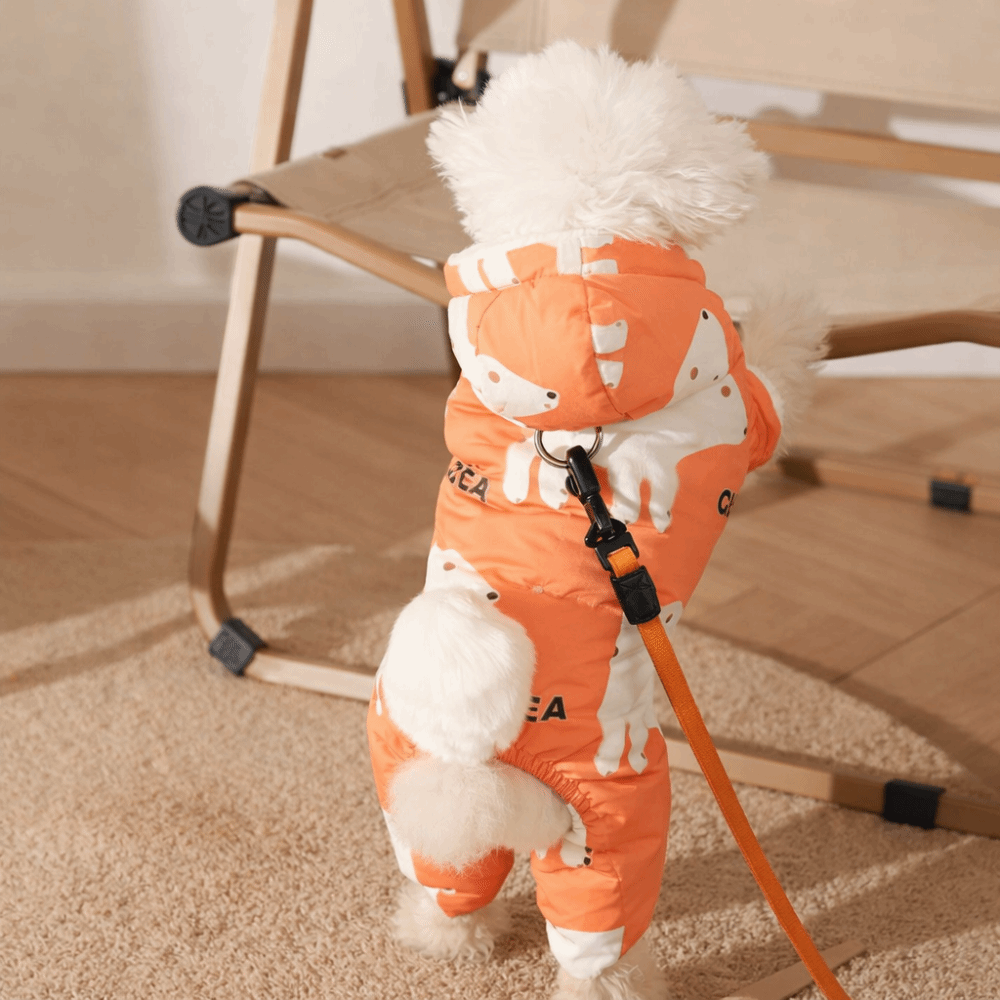 Cute Warm Dog Winter Clothes A - Winter Clothing For Dogs incelemesi ve fiyatı